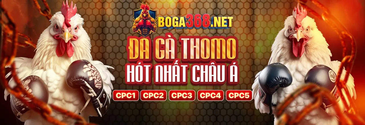 Khuyến mãi ZBET 2026 - Cơ hội thắng lớn tại nhà cái uy tín